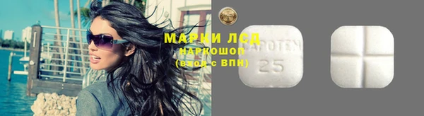 apvp Надым