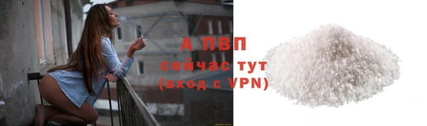 хмурый Нея