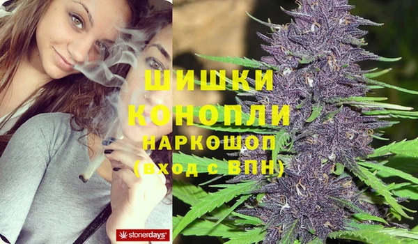 трава Новокубанск